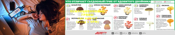 прущие крисы Михайлов