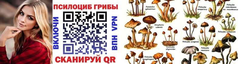 Псилоцибиновые грибы Psilocybe  Купить  Зима 